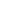 X icon